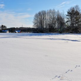 Talvimaisema Äänekosken Suviseurojen kentältä Liimattalasta.