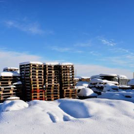 Kevättalven aurinko antaa seurakentälle lupauksia myöhemmin koittavasta suvesta.