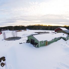Suviseurojen kalusto on jo tuotu kentälle ja varastoitu navettaan odottamaan kesää.