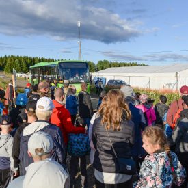 Suviseura-alueella toimii jatkuva sisäinen bussiliikenne.