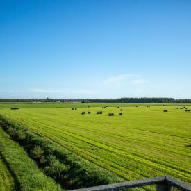 Terveisiä ensi kesän suviseura-alueelta! Muhoksen Matokorvella valmistelut ovat jo hyvässä vauhdissa.
