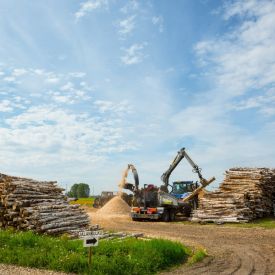 Maanantaina 17.6. kentälle vietiin haketta useamman traktorin peräkärryillä.