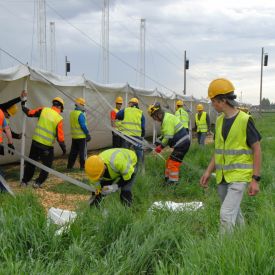Teltan tuttu hahmo on muodostumassa.