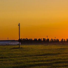 Aamuauringon ensimmäiset säteet seurakentällä.