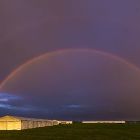 Sateenkaari kehystää kenttää illan hämyssä