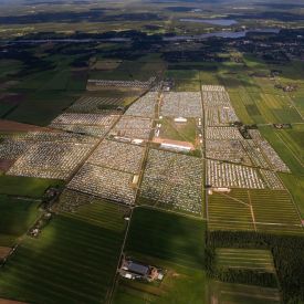 Suviseuranäkymä Matokorven pelloilta.