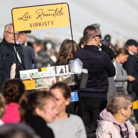 Iltatunnelmia kentältä.