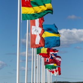 Togpn lippu on jo tuttu näky lippurivistössä