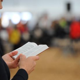 Laulua seurateltassa