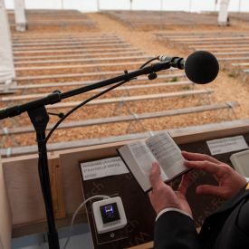 Laulua seurateltasta aamuvarhain.