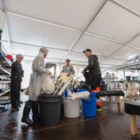 Ravintolakatoksen purkutyö on alkanut.